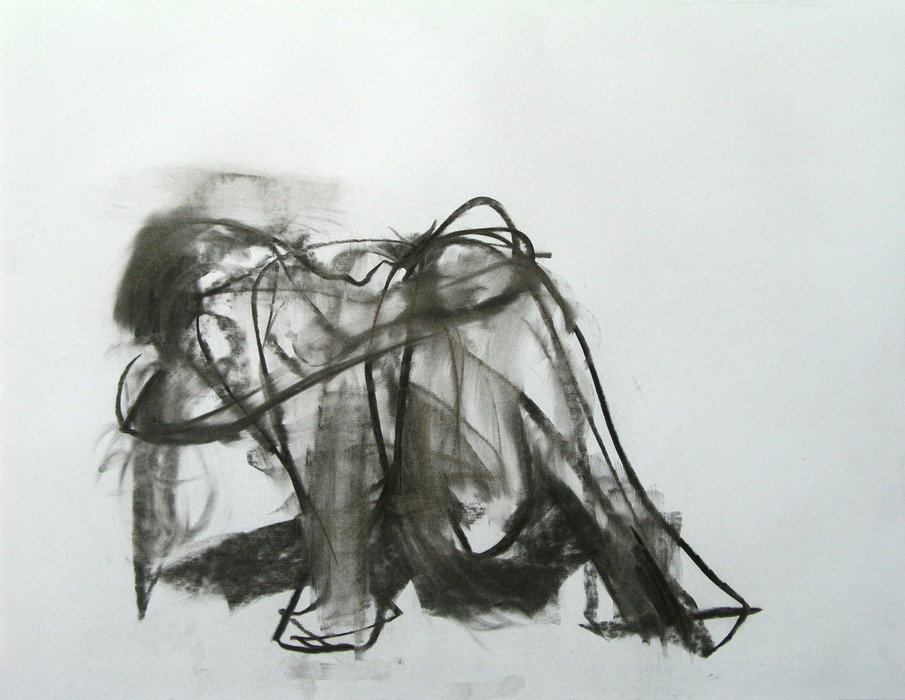 2008, 50 cm x 65 cm, charcoal.