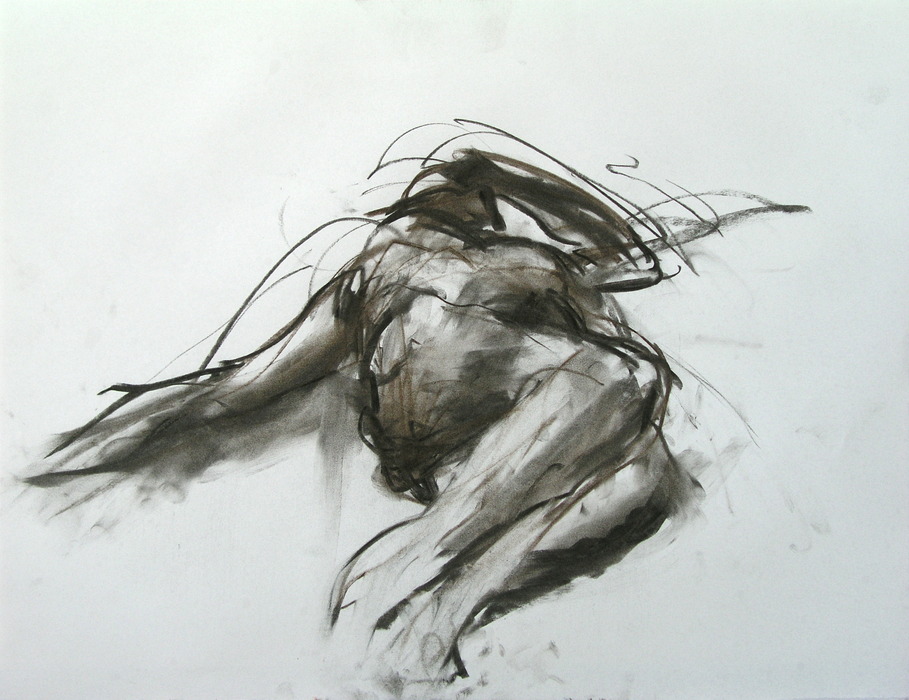 2008, 50 cm x 65 cm, charcoal.