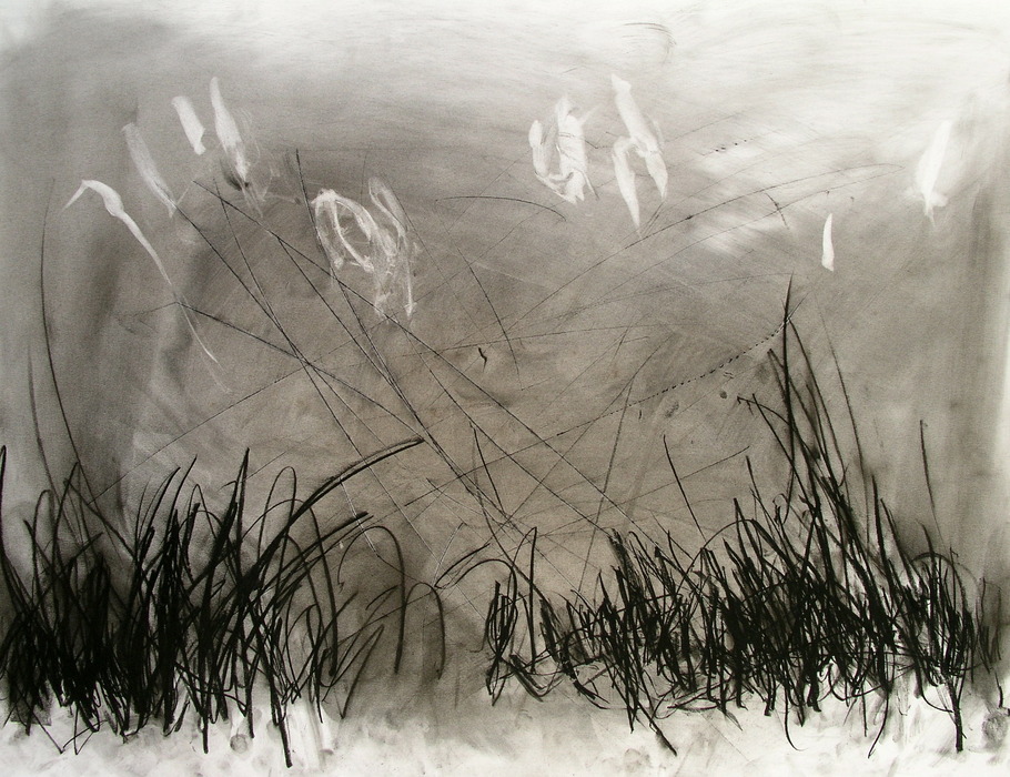 Drawing, 2008, 50 cm x 65 cm, mixed media.