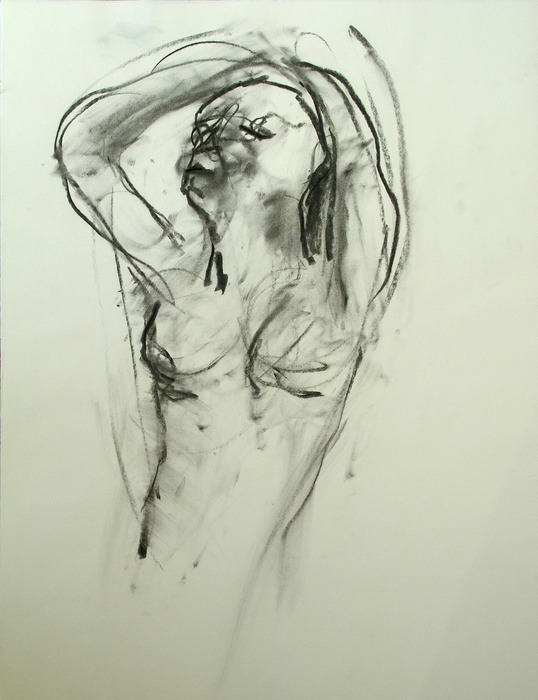 Drawing, 2008, 65 cm x 50 cm, mixed media.
