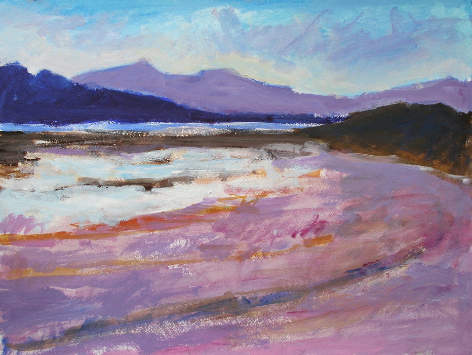 Death Valley, 2007, 45 cm x 59 cm, acrylics.