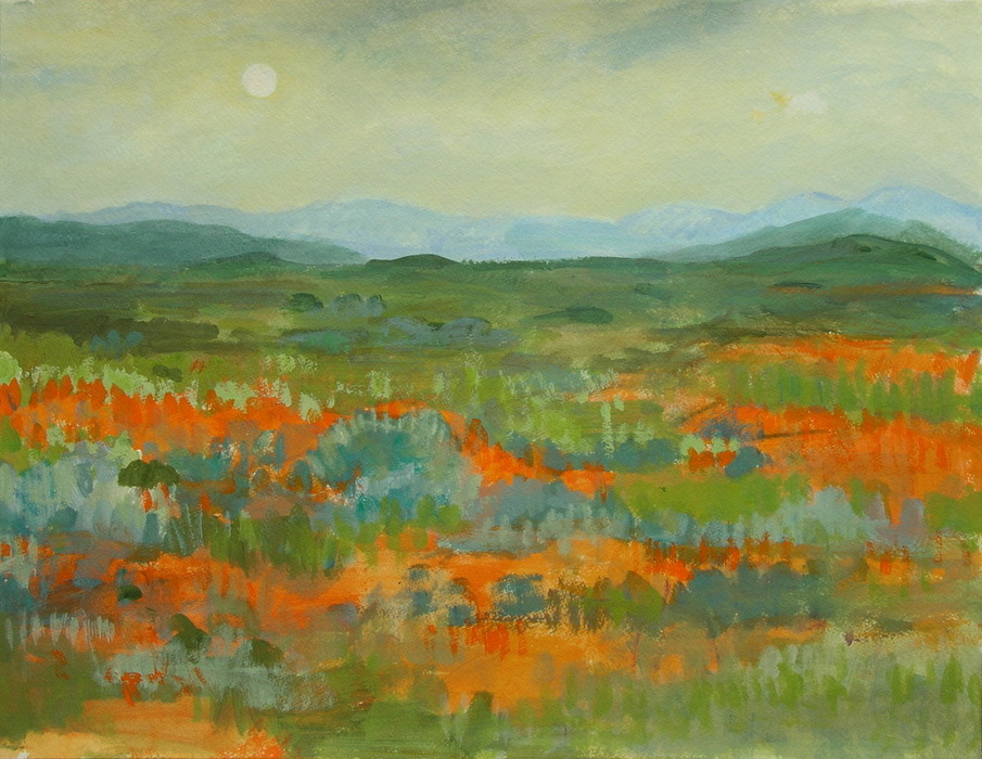 California, 2010, 45 cm x 59 cm, acrylics.
