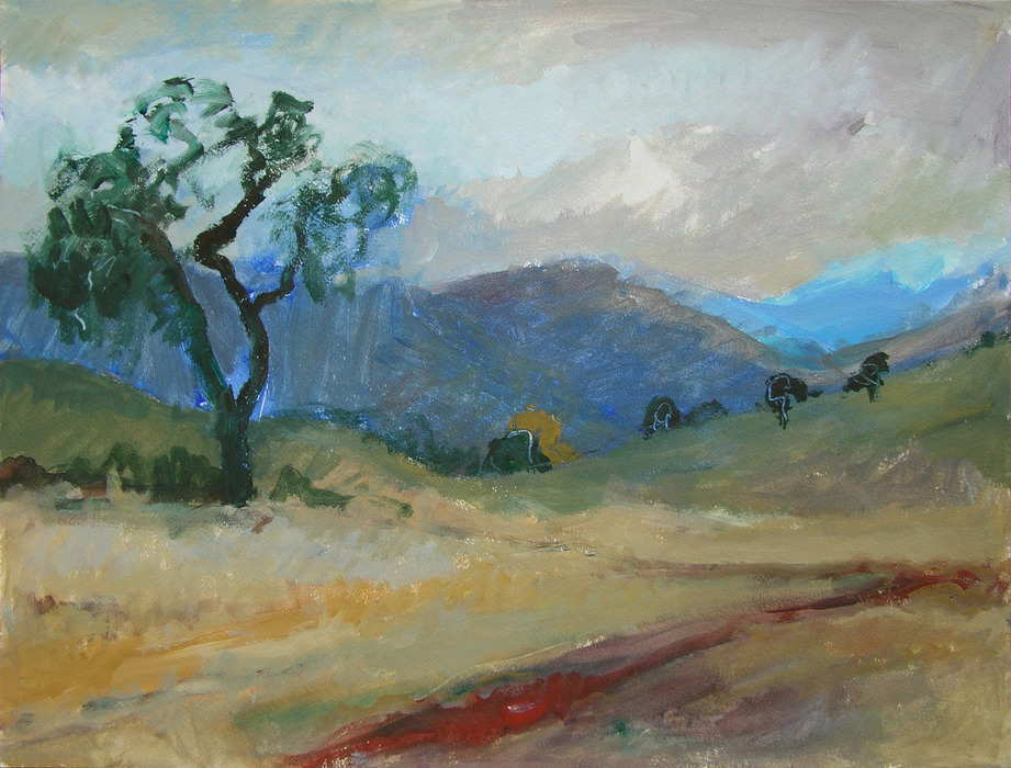 California, 2010, 45 cm x 59 cm, acrylics.