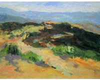 PA050749